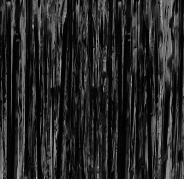 Διακοσμητική Foil Κουρτίνα Μαύρη 100×250εκ